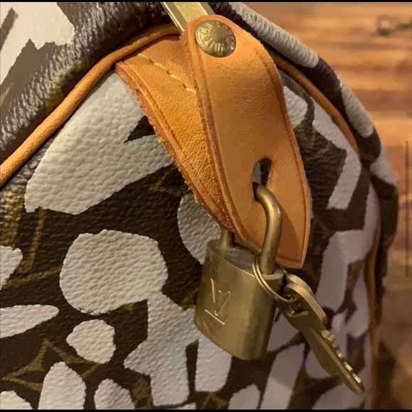 Louis Vuitton graffiti bag speedy - Picture 5 of 7